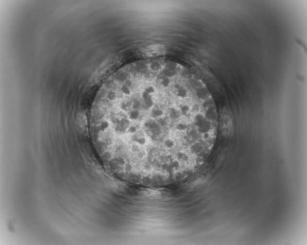 X0000102020523200808151318