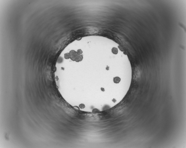 X0000102020524200808151318