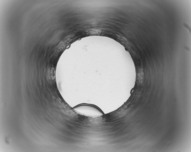 X0000102020525200808151318