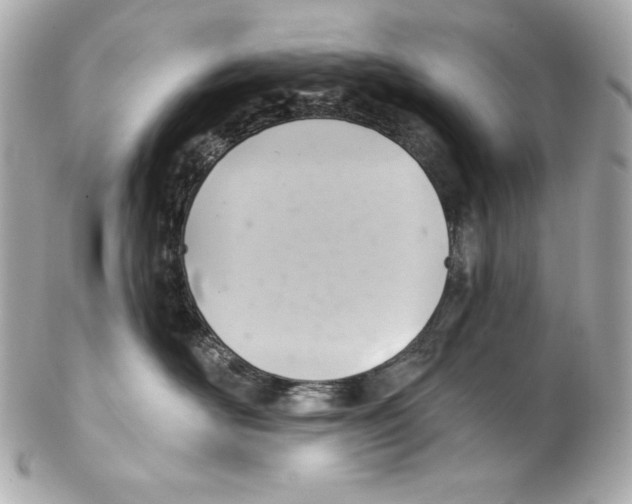 X0000102020526200808151318