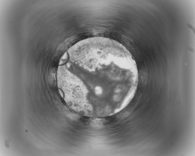 X0000102020527200808151318