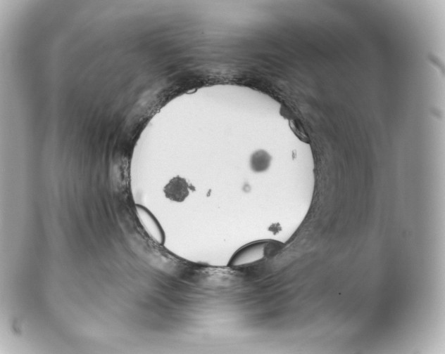 X0000102020528200808151318