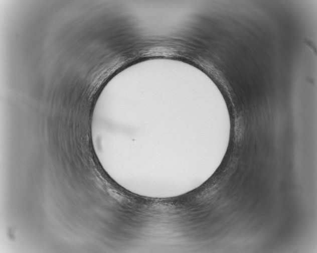 X0000102020529200808151318