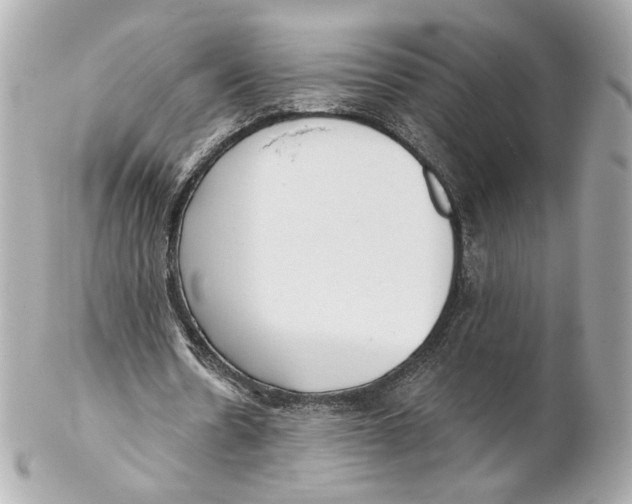 X0000102020530200808151318