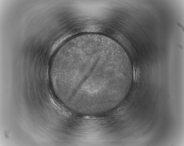 X0000102020531200808151318