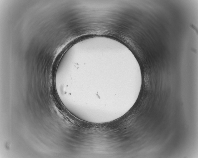 X0000102020532200808151318