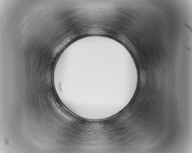 X0000102020533200808151318