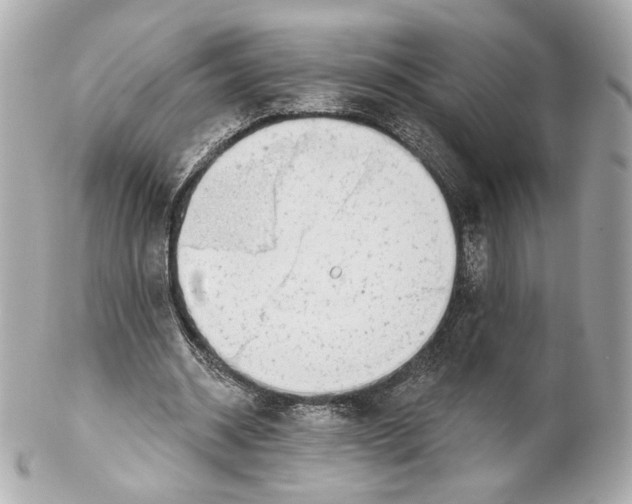 X0000102020534200808151318
