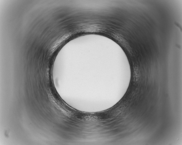 X0000102020535200808151318