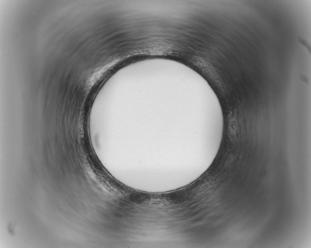 X0000102020536200808151318