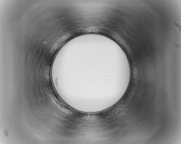 X0000102020537200808151318