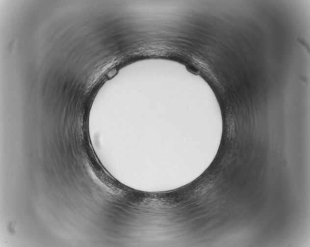 X0000102020538200808151318