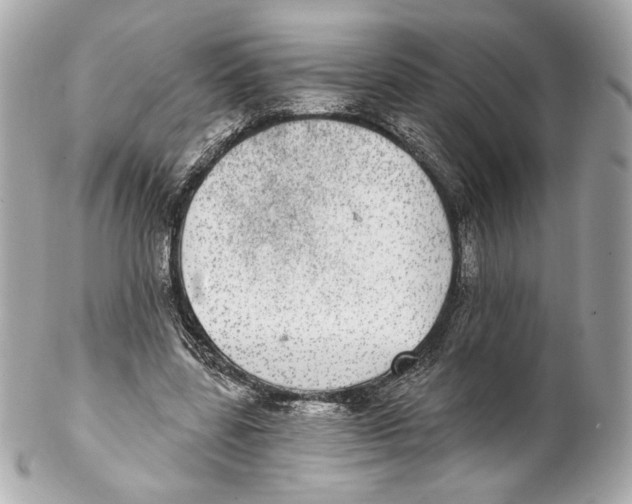 X0000102020539200808151318