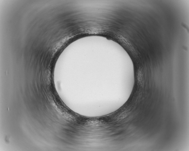 X0000102020540200808151318