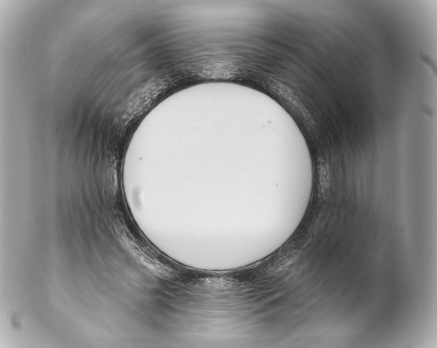 X0000102020541200808151318