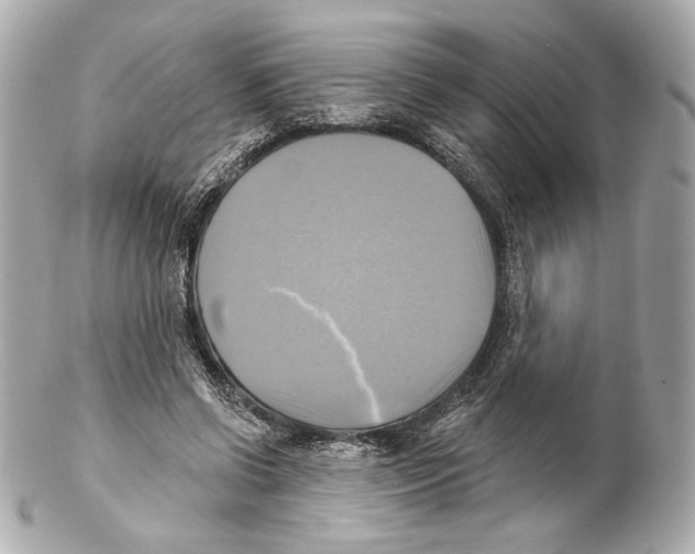 X0000102020542200808151318