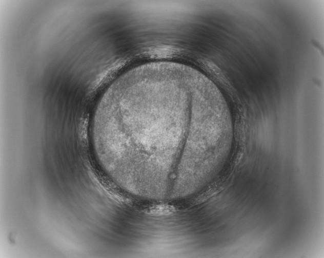 X0000102020543200808151318