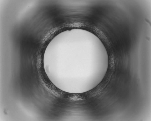 X0000102020544200808151318