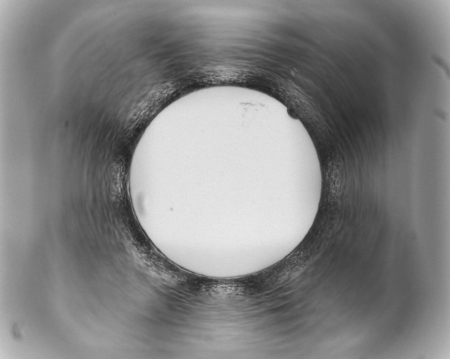 X0000102020546200808151318