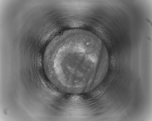 X0000102020547200808151318