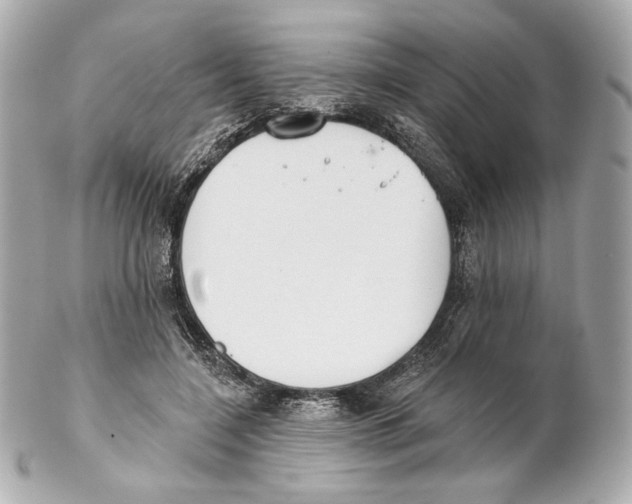 X0000102020548200808151318