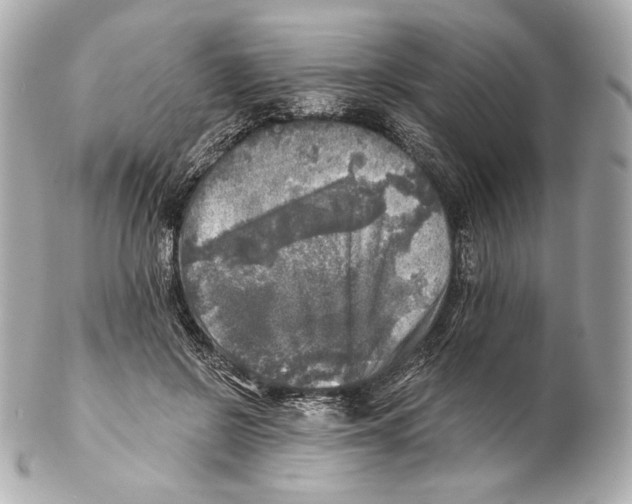 X0000102020550200808151318