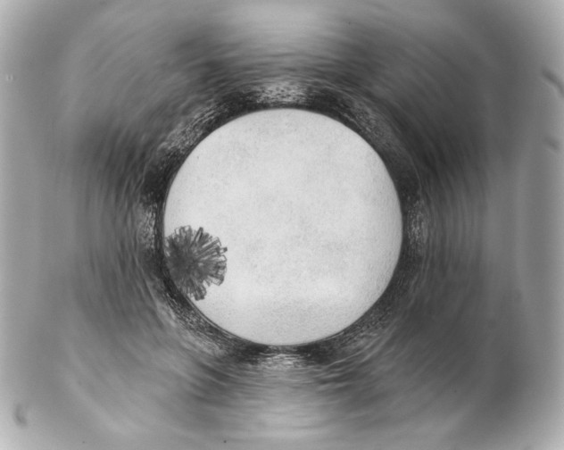 X0000102020551200808151318
