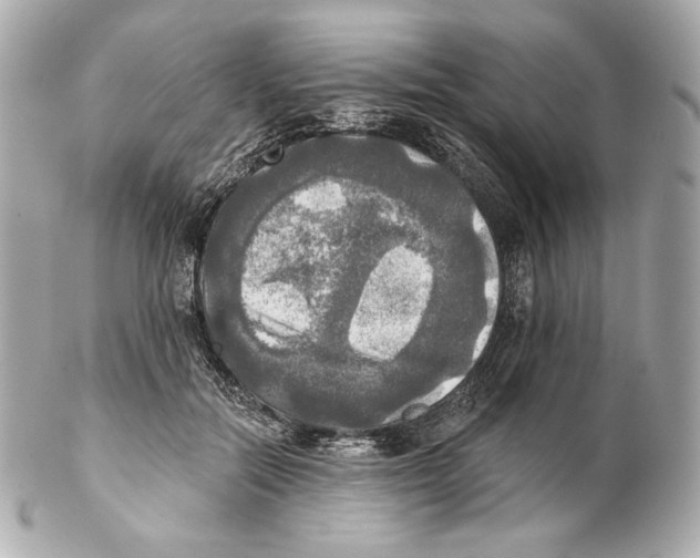 X0000102020554200808151318