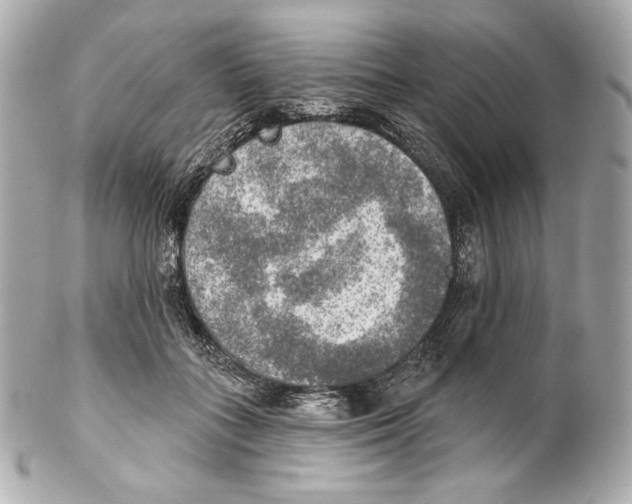 X0000102020555200808151318