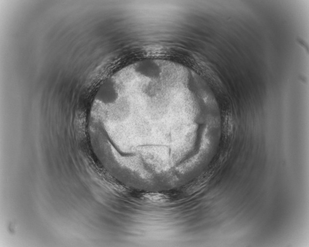X0000102020557200808151318