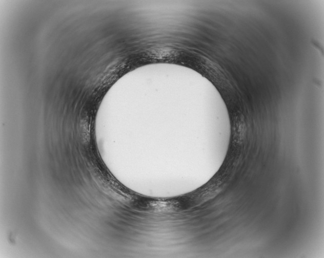 X0000102020558200808151318