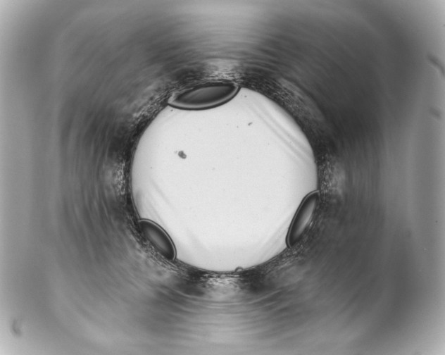 X0000102020560200808151318