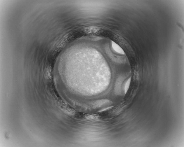X0000102020561200808151318