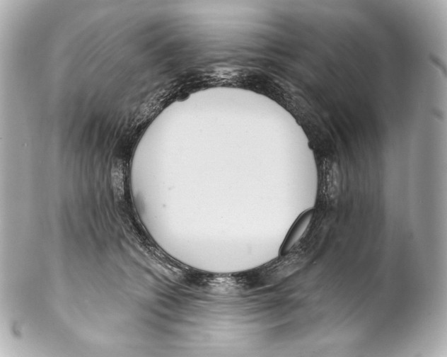 X0000102020562200808151318