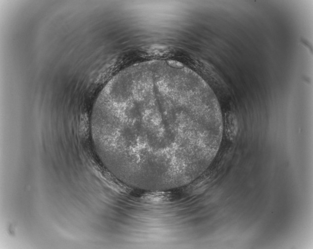 X0000102020563200808151318