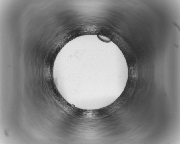 X0000102020564200808151318