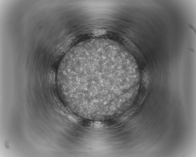 X0000102020565200808151318