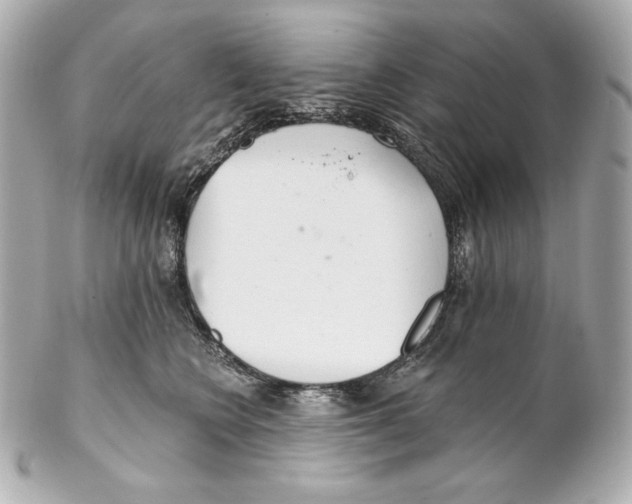 X0000102020566200808151318
