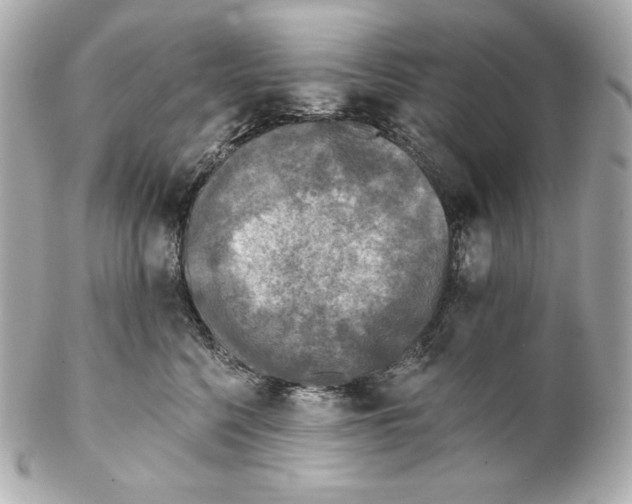 X0000102020568200808151318