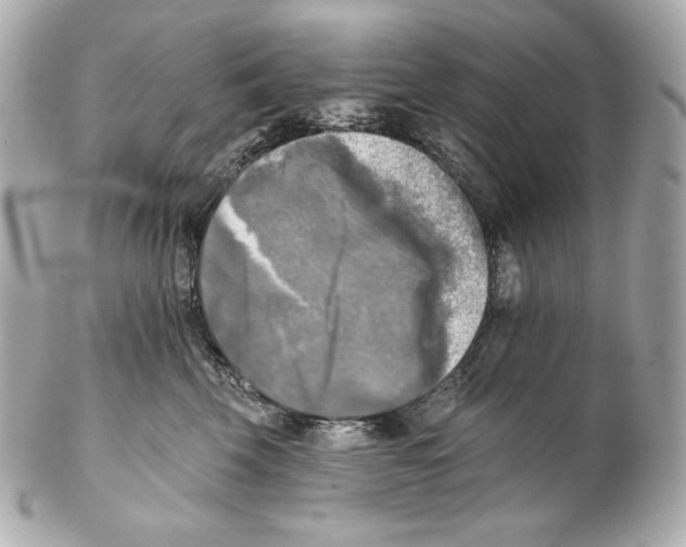 X0000102020569200808151318