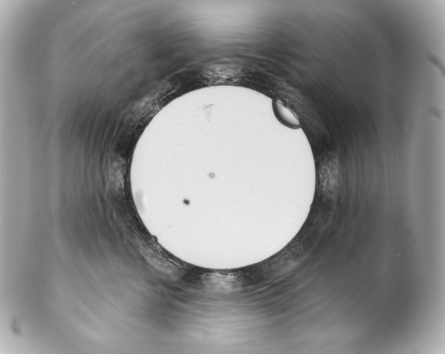 X0000102020570200808151318
