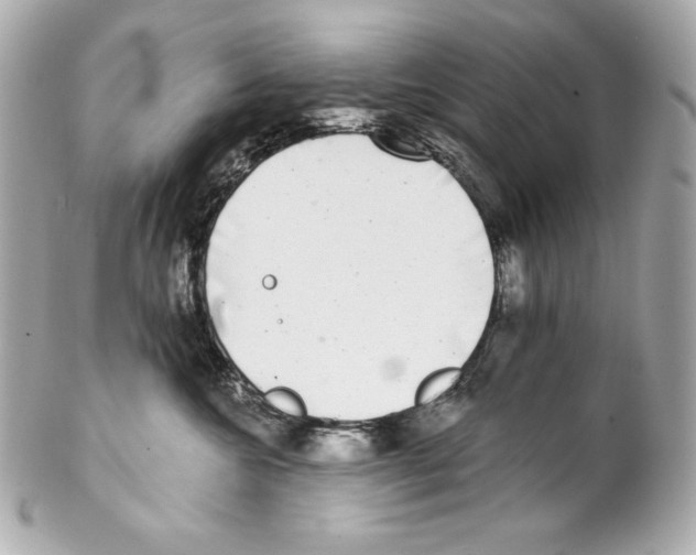 X0000102020572200808151318