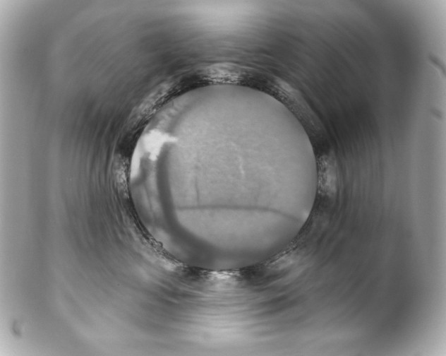 X0000102020573200808151318