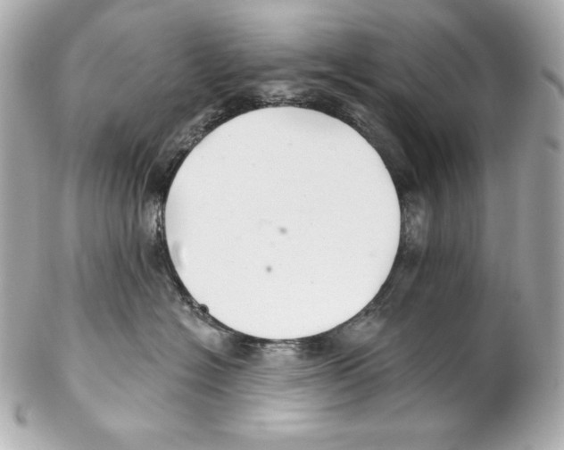 X0000102020574200808151318