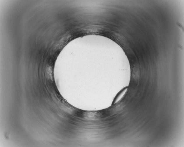 X0000102020575200808151318