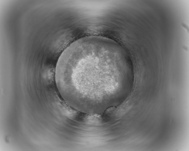 X0000102020576200808151318