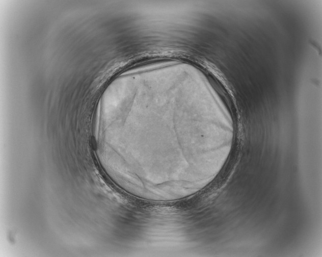 X0000102020577200808151318