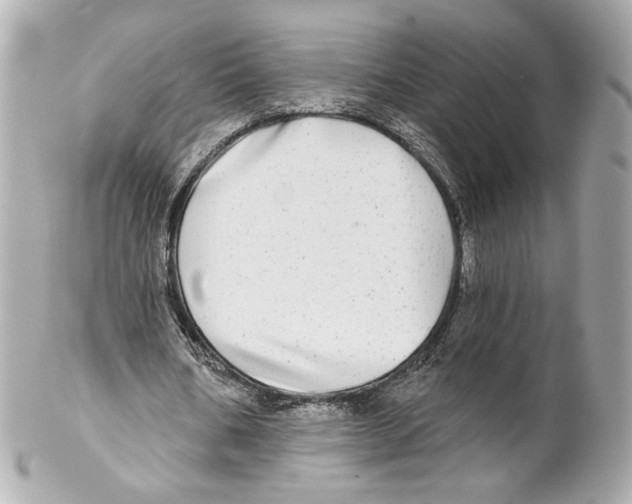 X0000102020578200808151318