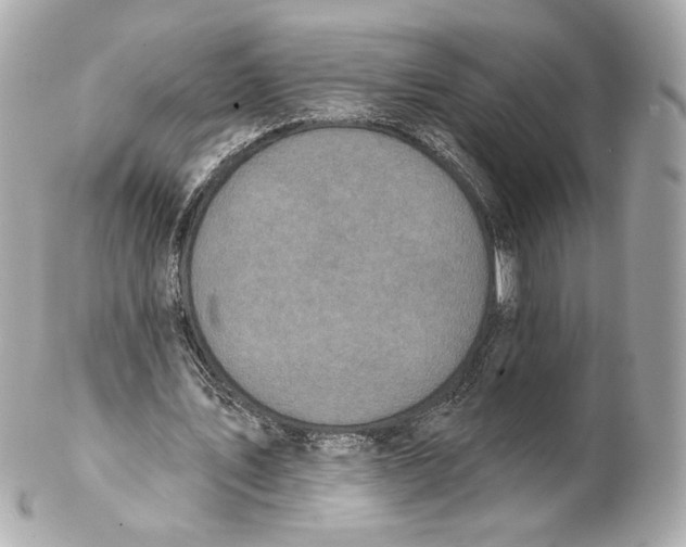 X0000102020579200808151318