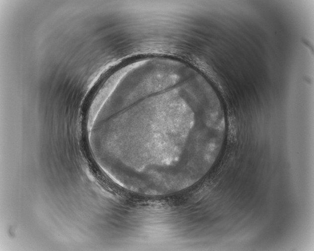 X0000102020580200808151317